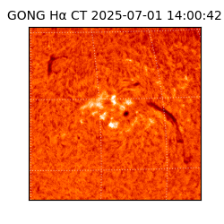 gong - 2025-07-01T14:00:42