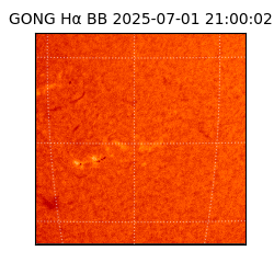 gong - 2025-07-01T21:00:02