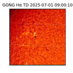 gong - 2025-07-01T09:00:10