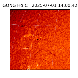 gong - 2025-07-01T14:00:42