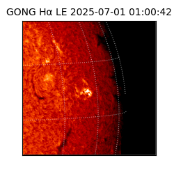 gong - 2025-07-01T01:00:42