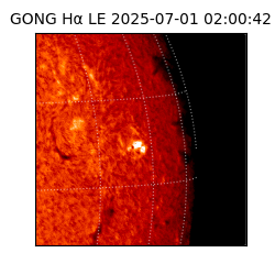 gong - 2025-07-01T02:00:42