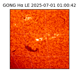 gong - 2025-07-01T01:00:42