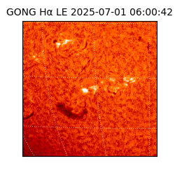 gong - 2025-07-01T06:00:42