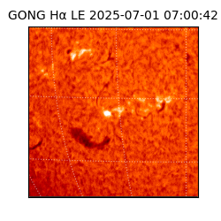 gong - 2025-07-01T07:00:42