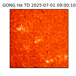 gong - 2025-07-01T09:00:10