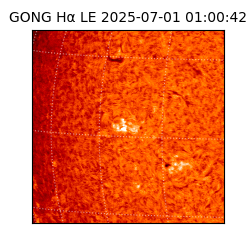 gong - 2025-07-01T01:00:42