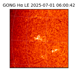 gong - 2025-07-01T06:00:42