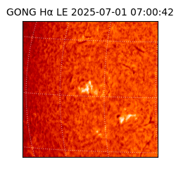 gong - 2025-07-01T07:00:42