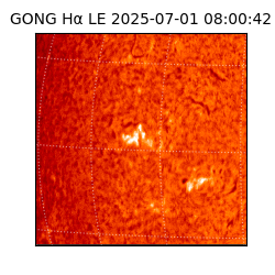 gong - 2025-07-01T08:00:42