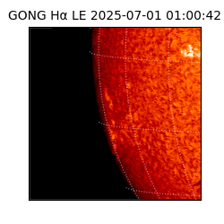 gong - 2025-07-01T01:00:42