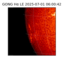 gong - 2025-07-01T06:00:42