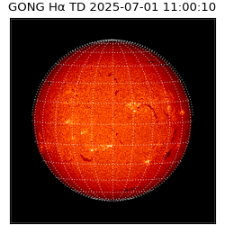 gong - 2025-07-01T11:00:10