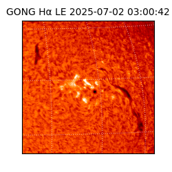 gong - 2025-07-02T03:00:42