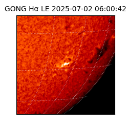 gong - 2025-07-02T06:00:42