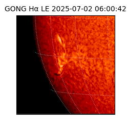gong - 2025-07-02T06:00:42