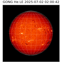 gong - 2025-07-02T02:00:42