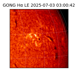 gong - 2025-07-03T03:00:42