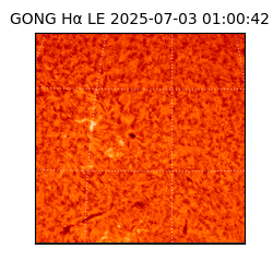 gong - 2025-07-03T01:00:42