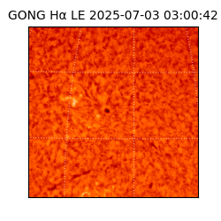 gong - 2025-07-03T03:00:42