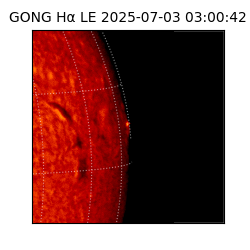 gong - 2025-07-03T03:00:42