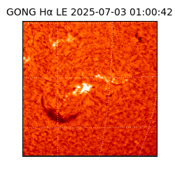 gong - 2025-07-03T01:00:42
