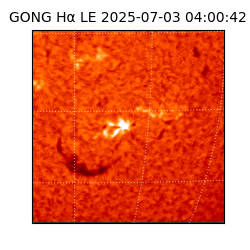gong - 2025-07-03T04:00:42