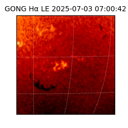 gong - 2025-07-03T07:00:42