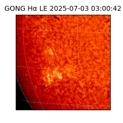 gong - 2025-07-03T03:00:42