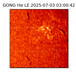 gong - 2025-07-03T03:00:42