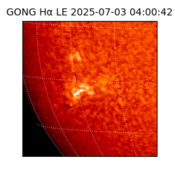 gong - 2025-07-03T04:00:42