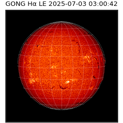 gong - 2025-07-03T03:00:42