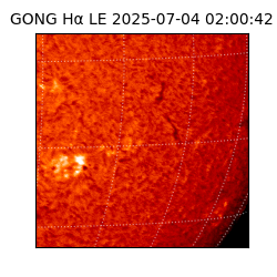 gong - 2025-07-04T02:00:42