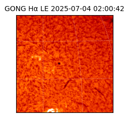 gong - 2025-07-04T02:00:42