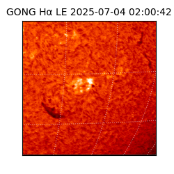 gong - 2025-07-04T02:00:42