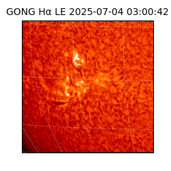 gong - 2025-07-04T03:00:42