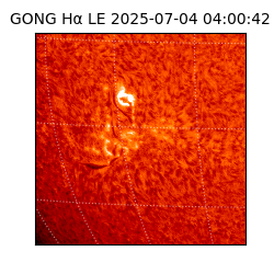 gong - 2025-07-04T04:00:42