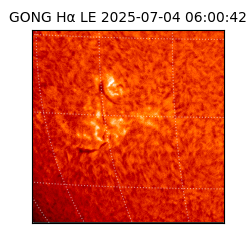 gong - 2025-07-04T06:00:42