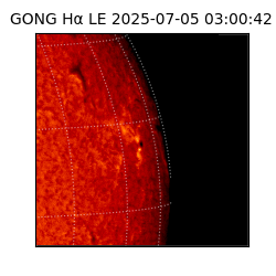 gong - 2025-07-05T03:00:42