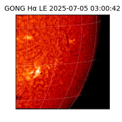 gong - 2025-07-05T03:00:42
