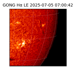 gong - 2025-07-05T07:00:42