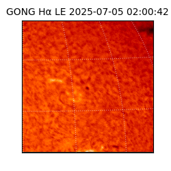 gong - 2025-07-05T02:00:42