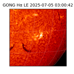 gong - 2025-07-05T03:00:42