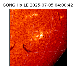 gong - 2025-07-05T04:00:42