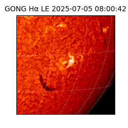 gong - 2025-07-05T08:00:42