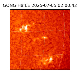 gong - 2025-07-05T02:00:42