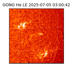 gong - 2025-07-05T03:00:42