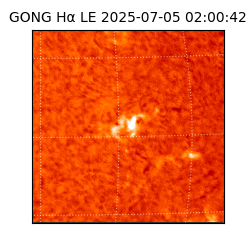 gong - 2025-07-05T02:00:42