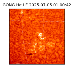 gong - 2025-07-05T01:00:42