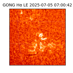 gong - 2025-07-05T07:00:42